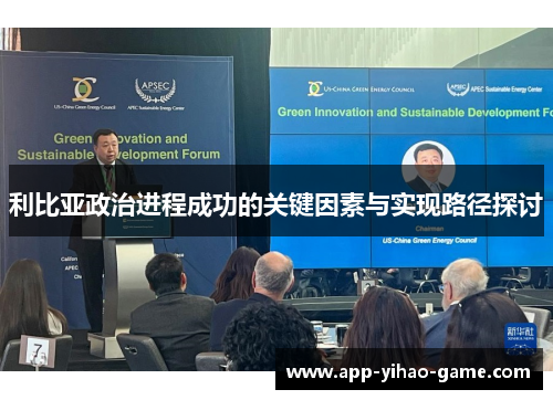利比亚政治进程成功的关键因素与实现路径探讨