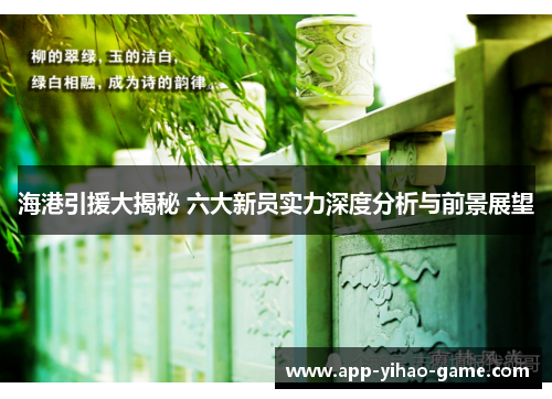 海港引援大揭秘 六大新员实力深度分析与前景展望
