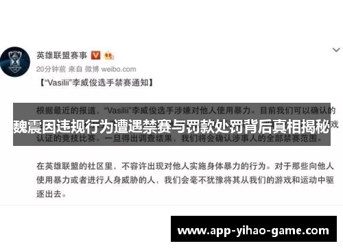 魏震因违规行为遭遇禁赛与罚款处罚背后真相揭秘