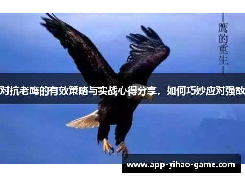 对抗老鹰的有效策略与实战心得分享，如何巧妙应对强敌